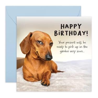 Imagem de Cartão de aniversário - Cão salsicha - Saudações divertidas para ele, ela, avó, vovô, mãe, pai, esposa, marido, amantes de cães, donos de animais de estimação - brincadeira Daschund - Vem com adesivos