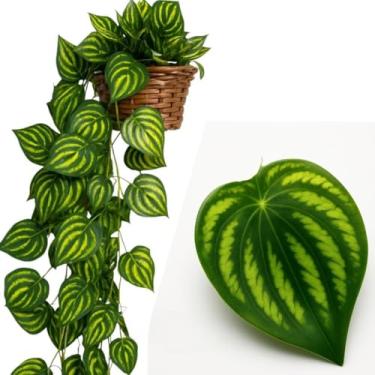 Imagem de Conjunto Decorativo de Vasos Artificiais (2 Vasos TrançAdos + 2 Trepadeiras de Hera Ou Potos), Adequado Para a DecoraçãO Da Sala de Estar.(MELANCIA)