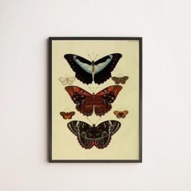 Imagem de Quadro Decorativo Borboletas Vintage 24X18Cm Preto - Quadros On-Line