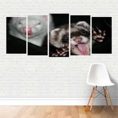 Imagem de Quadro Animais Estimação Furões Domésticos Mustelídeo Canvas - Plinpli