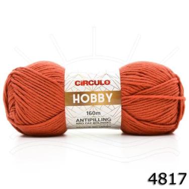Imagem de Fio Hobby Círculo 100g, 4817 telha