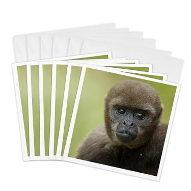Imagem de 3dRose Cartões comemorativos Common Woolly Monkey Amazon Rain Forest Ecuador SA07 POX1085 Pete Oxford, conjunto de 6 (gc_86323_1)