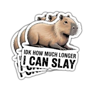 Imagem de Adesivo de capivara, 3 peças IDK How Much Longer I Can Slay, decalque de vinil de meme de animal engraçado para adolescentes, adultos, amantes de animais de estimação, laptop, carro, caderno, garrafa