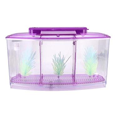 Imagem de Mini caixa de peixe, caixa de plástico com isolamento de aquário, incubadora de acrílico, incubadora de peixes pequenos, mini peixes com três divisões e luz LED (Roxo)