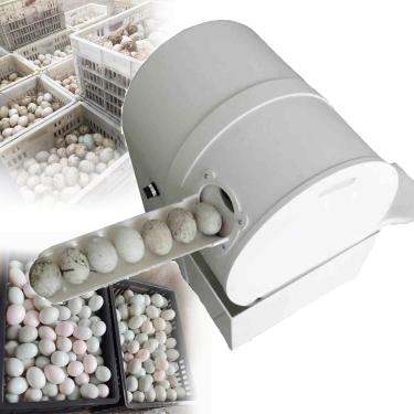 Imagem de Máquina De Lavar Ovos Automática, Purificador De Ovos, Máquina-ferramenta De Lavar Ovos, Limpeza De Ovos De Pato Sujos