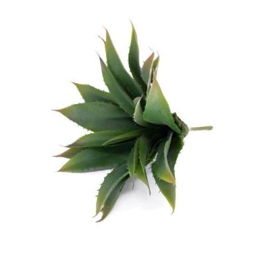 Imagem de Folha Artificial Agave Com Raiz X21 para Arranjos Verde 25 cm F04 - D'