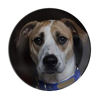 Imagem de Prato decorativo de porcelana para animais de estimação com imagem escura para louças de jantar