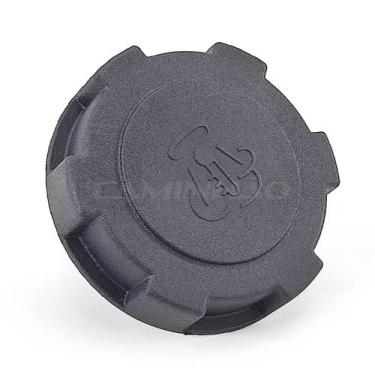 Imagem de Tampa Reservatório Água Radiador Scania 112 / 113 (1403954 1616744) - 