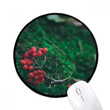 Imagem de DIYthinker Tapete de mouse para mesa de escritório com frutas vermelhas ciências florestais ciências da natureza tapete redondo para computador