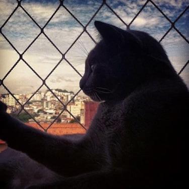 Imagem de Kit Completo Rede Tela De Proteção Para Sacadas Janelas Gatos Crianças - 1,30m X 2,50m (Preta)