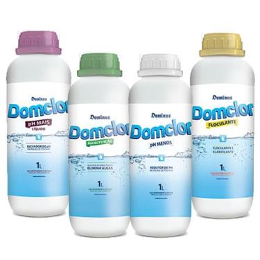 Imagem de Kit Produtos Para Tratamento Água De Piscina Verde 1L - DomClor