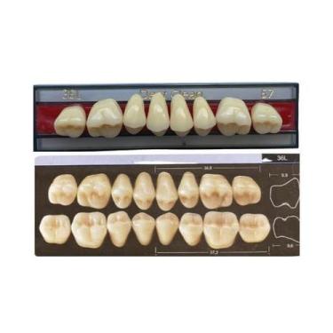 Imagem de Dente Dent Clean Posterior 36L Superior - Imodonto