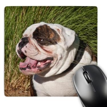 Imagem de 3dRose LLC 20,3 x 20,3 x 0,63 cm A Portrait of an English Bulldog Zandria Muench Beraldo (Mp_88783_1)