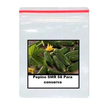 Imagem de 50 Sementes De Pepino SMR 58 Para conserva - SEEDS
