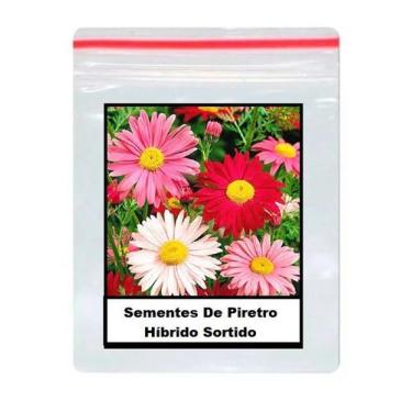 Imagem de 50 Sementes De Piretro Híbrido Sortido - TOPSEED