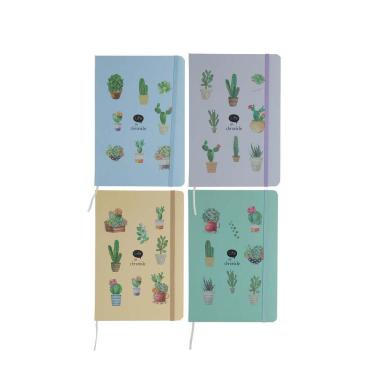 Imagem de Caderneta Le com Pauta Brochura Capa Dura Cacto 160 Folhas 21x14cm