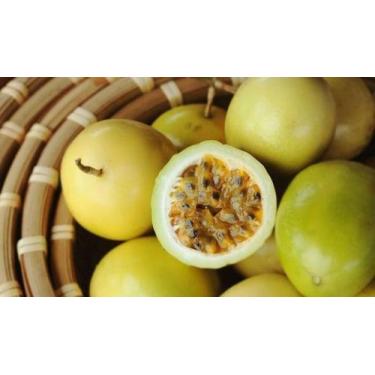 Imagem de Maracujá Redondo Amarelo - 1.20gr de Sementes - ISLA Sementes