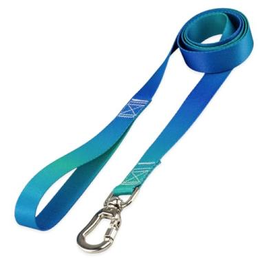 Imagem de Basic Pet Coleira Guia 2 Metros Para Cães Cachorro Adestramento Passeio Porte Grande Médio Pequeno (Lake, M)