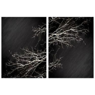 Imagem de Quadro Galhos Secos Duo Midiapoparte Em 2 Peças