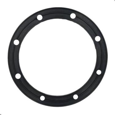 Imagem de Guarnição Flange Modulo De Combustível Omega 2.0 2.2 3.0 4.1 - DSC