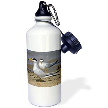 Imagem de 3dRose Garrafa de água esportiva "Least Tern Bird with fish, Galveston, Texas, USA-US44 LDI0579-Larry Ditto", 600 ml, branca