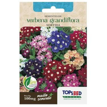 Imagem de Sementes de Verbena Grandiflora Sortida TOPSEED