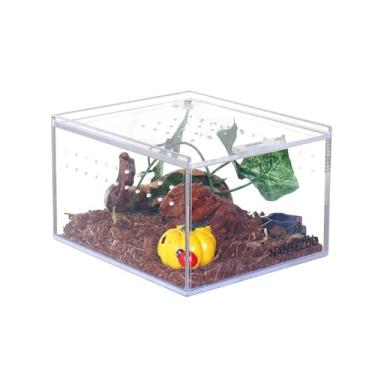 Imagem de NANEEZOO Caixa de acrílico para reprodução de répteis, 12 x 10 x 7,6 cm, caixa plana e longa, caixa transparente para reprodução de répteis, tanque de terrário para tarântula, escorpião, isópodos, invertebrados, insetos, mantis