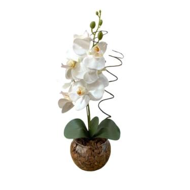 Imagem de Arranjo De Flores Artificiais Orquidea 40 Cm Altura Com Vaso De Vidro E Musgo Natural Decoracao Sala quarto quarto(BRANCA MOD 02)
