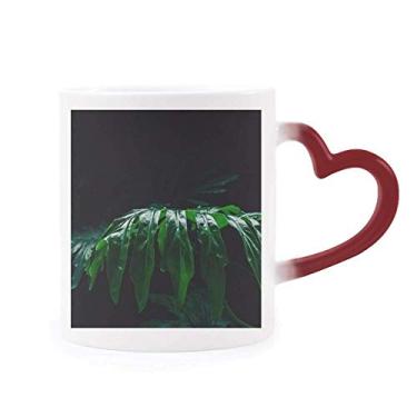Imagem de Fotografia deixa a planta imagem natureza sensível ao calor caneca vermelha muda de cor