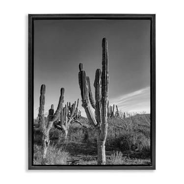 Imagem de Stupell Industries Arte de parede em tela flutuante emoldurada Cactus Field & Vast Sky Black por Norm Stelfox, 53 x 43 cm
