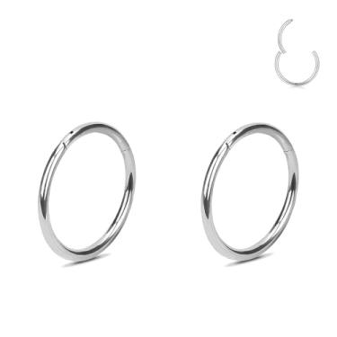 Imagem de Brincos de argola de prata 16G/18G/20G para mulheres e homens, anéis clicker articulados de aço cirúrgico 316L para hélice/cartilagem, narina hipoalergênica septo 6 mm, 8 mm, 10 mm, 2Pcs 16Gauge