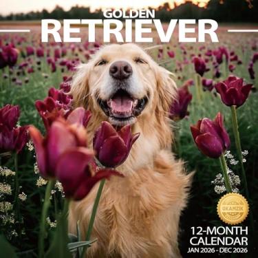 Imagem de Calendário de parede 2026 Golden Retriever, calendário de parede mensal suspenso com blocos grandes para organização e planejamento, agenda acadêmica, casa, escritório e família, papel grosso e