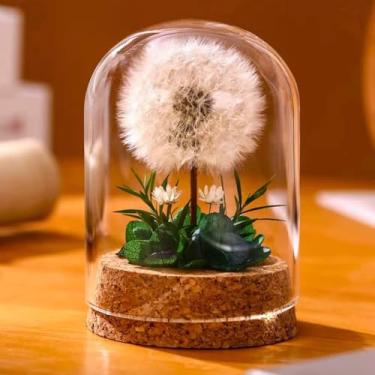 Imagem de Coyoohouse Flor de dente-de-leão preservada feita à mão em cúpula de vidro transparente, espécime de dente-de-leão real, presentes para aniversário da mãe, Natal, dia do professor (verde, NoLED)