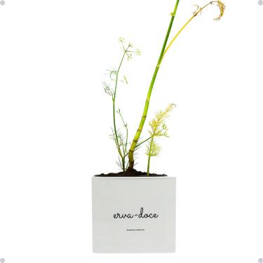 Imagem de Kit Horta Vertical Vaso + Sementes e Substrato Para Chá Jardineiras Salmão (Erva-Doce, Creme, 1)