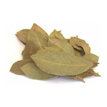 Imagem de Folha de Louro 1kg (Erva Desidratada) - Magnata das Ervas