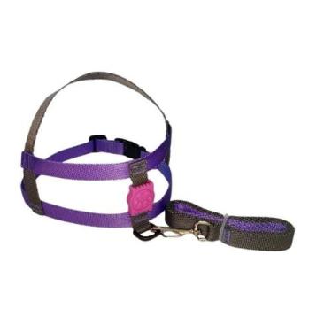 Imagem de Conj. peitoral liso c/ borracha - Couraça Pet, Roxo, GG