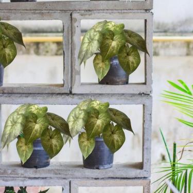 Imagem de 10 Buquês de Singônio Artificial com Folhagens Realistas Planta Decora