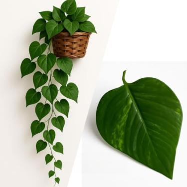 Imagem de Trepadeira Artificial com Trançado Decor(JIBOIA)