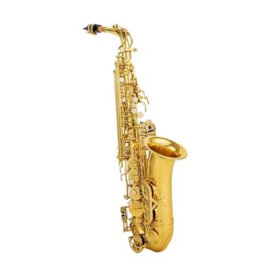 Imagem de Instrumento de saxofone profissional Eb Saxofone alto latão dourado lacado instrumento musical E-flat Sax com acessórios de capa