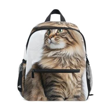 Imagem de Cute Maine Coon Cat Small Kids Backpack with Whistle, 2 Bottle Pockets, Lightweight, Back to School Backpacks 10x4x12 In, for Ages 3-8