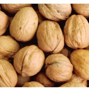 Imagem de NOZES COM CASCA 1KG