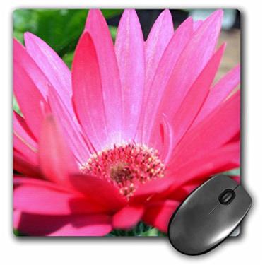 Imagem de 3dRose LLC Mouse pad fechado Gerbera rosa 20 x 20 x 0,63 cm (mp_22931_1)