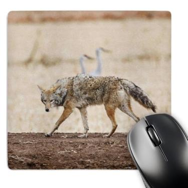 Imagem de 3dRose Mouse pad LLC 20 x 20 x 0,63 cm, Coyote Wildlife, Larry Ditto (mp_92854_1)
