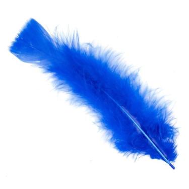 Imagem de Pena 15 cm cor azul royal cartela c/10 unidades - CARRETEL