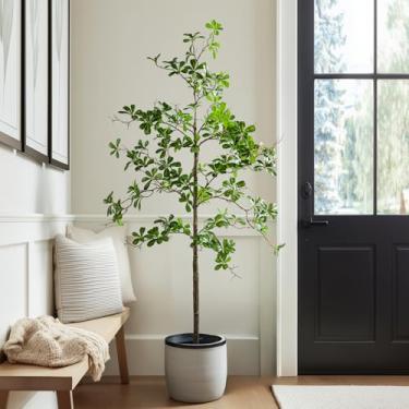 Imagem de Erimda Oliveira preta sintética de 1,5 m, plantas falsas para ambientes internos, grande, alta, árvore artificial sombreada com tronco de madeira natural e folhas realistas, oliveira falsa para