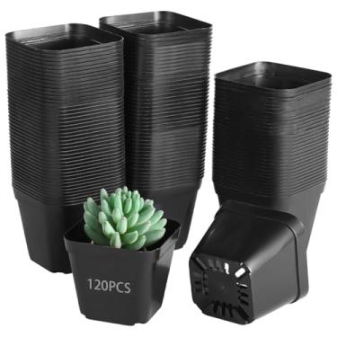 Imagem de OMISTAR 120 potes quadrados pequenos de plástico para berçário - vasos de mudas de 10 cm com orifícios de drenagem, recipientes reutilizáveis para propagação de suculentas, flores, kits de início de