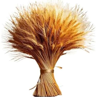 Imagem de 50 Hastes de Trigo Seco para Decoração – Buquê e Arranjo de Mesa para Sala, Casamento e Festa