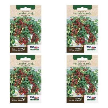 Imagem de Kit 4 Sementes De Tomate Cereja (samambaia) Saboroso Natural - Topseed