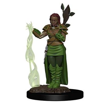 Imagem de Galápagos, Dungeons & Dragons: D&D Icons of the Realms Premium Figures: Human Female Druid, RPG