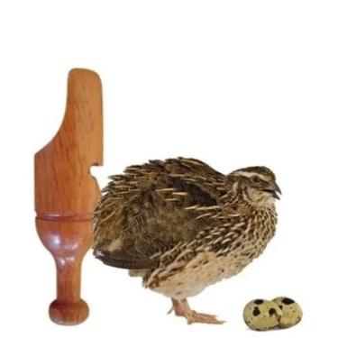 Imagem de Apito Pio De Madeira Codorna 28